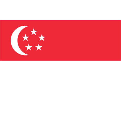 MT5 Grey Label Solutions in Singapore